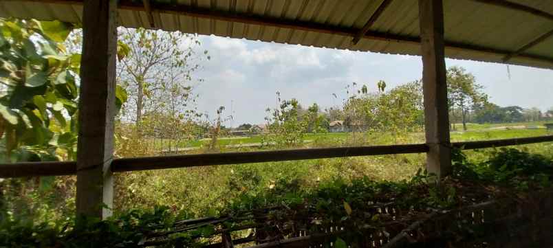 dijual rumah jl gabugan gemolong