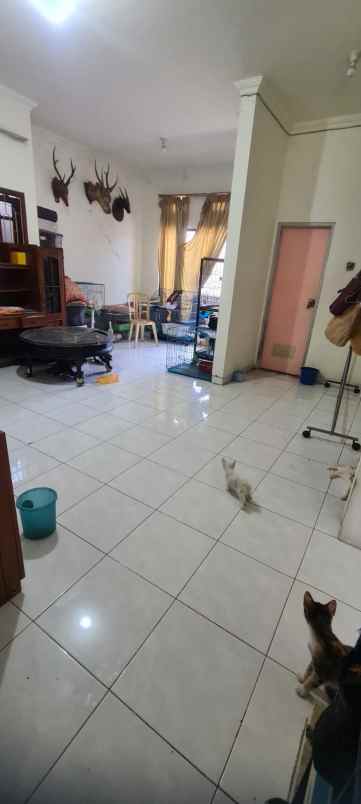 dijual rumah semolowaru