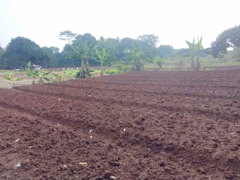 dijual tanah 1 2 hektar setu bekasi