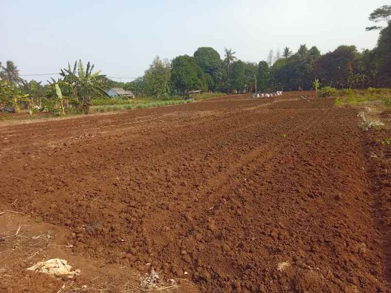 dijual tanah 1 2 hektar setu bekasi