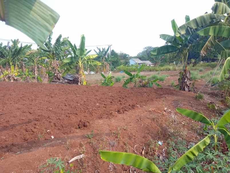 dijual tanah 1 2 hektar setu bekasi