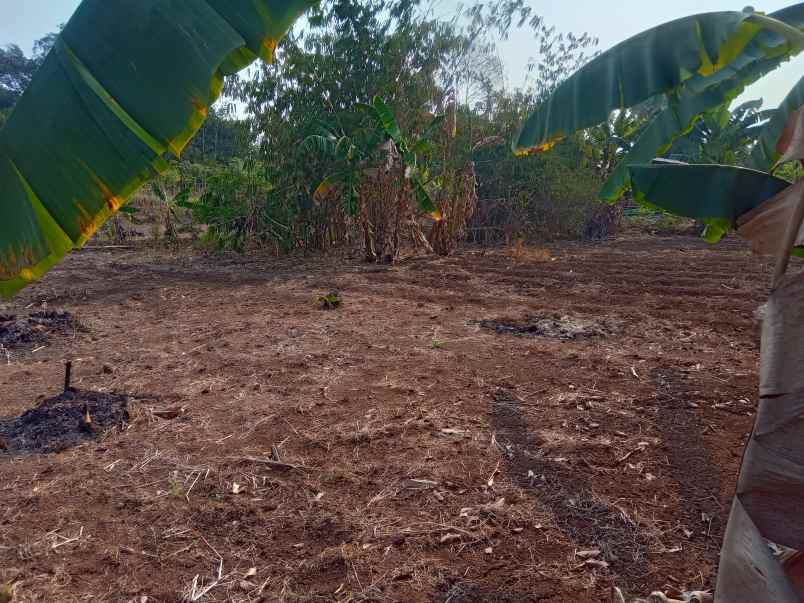 dijual tanah 1 2 hektar setu bekasi