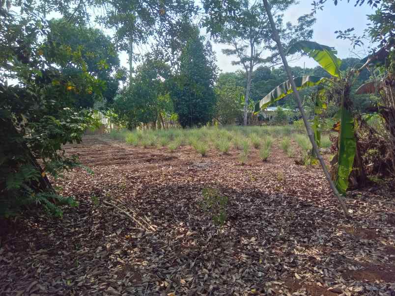 dijual tanah 1 2 hektar setu bekasi