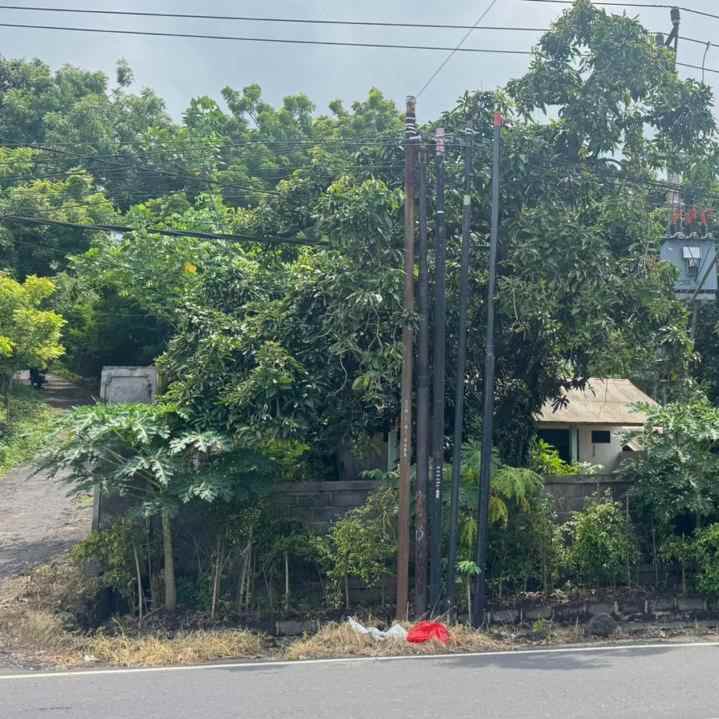 dijual tanah air sanih tejakula