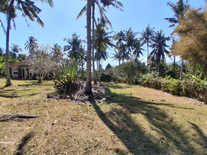dijual tanah balian beach selemadeg