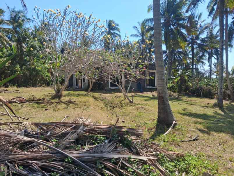 dijual tanah balian beach selemadeg