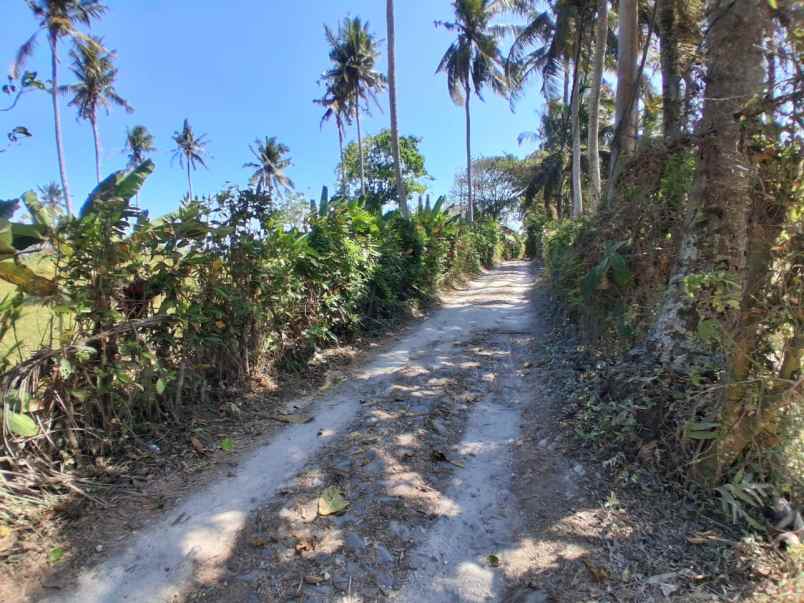 dijual tanah balian beach selemadeg