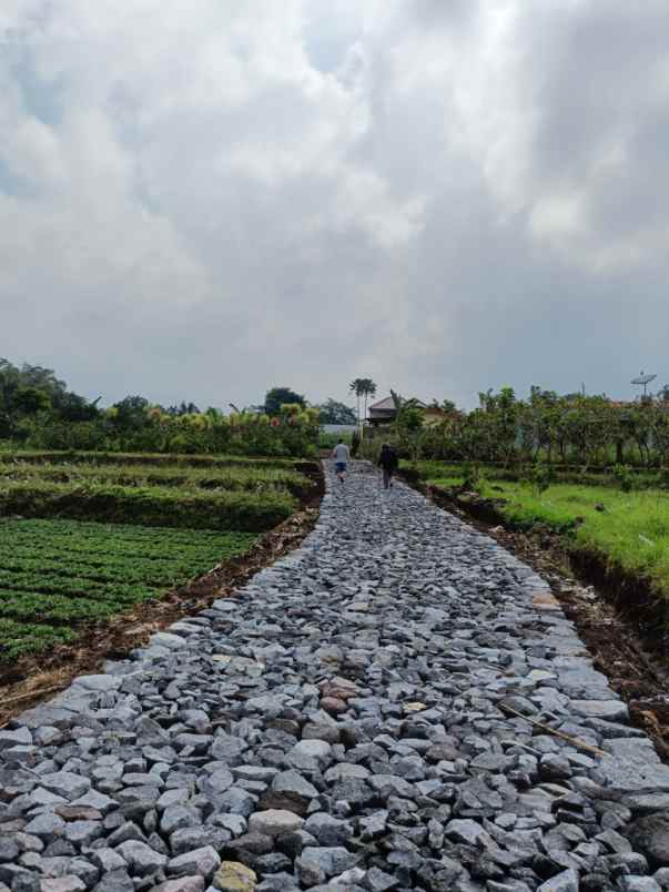 dijual tanah banaran