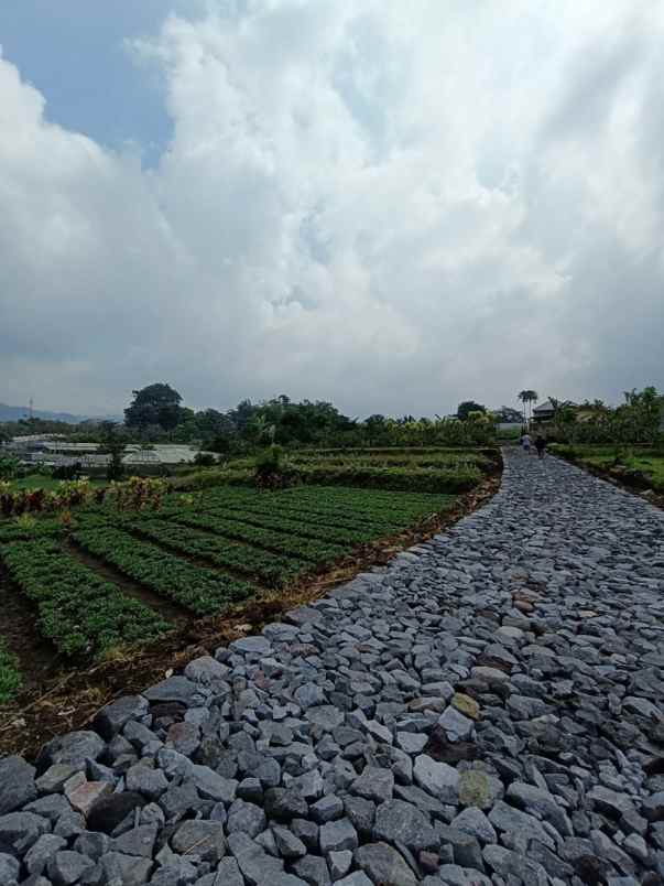 dijual tanah banaran