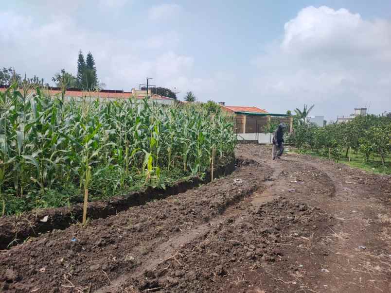 dijual tanah banaran