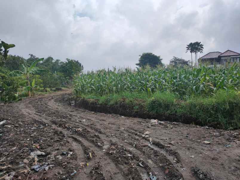 dijual tanah banaran