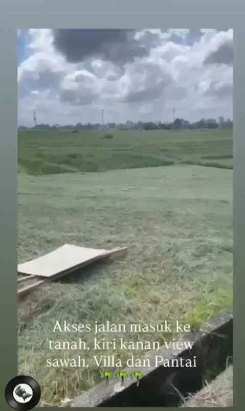 dijual tanah beraban selemadeg tabanan bali