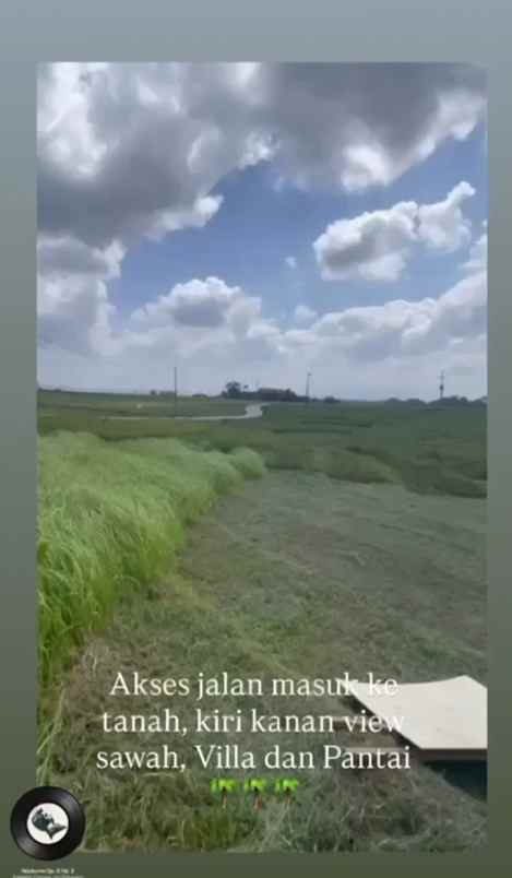 dijual tanah beraban selemadeg tabanan bali