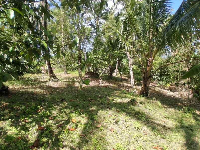 dijual tanah berlokasi di lumbung lokasi strategis