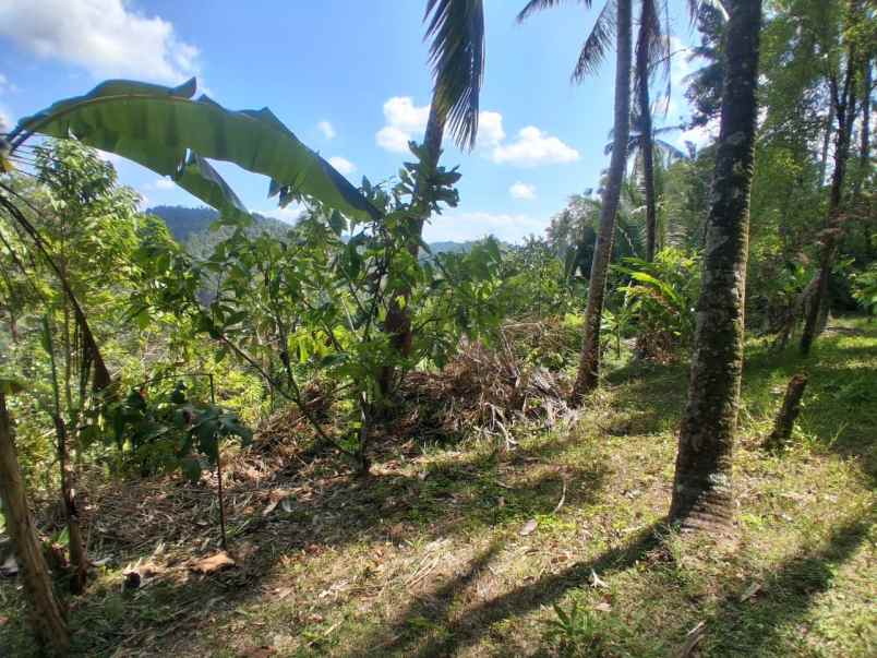 dijual tanah berlokasi di lumbung lokasi strategis