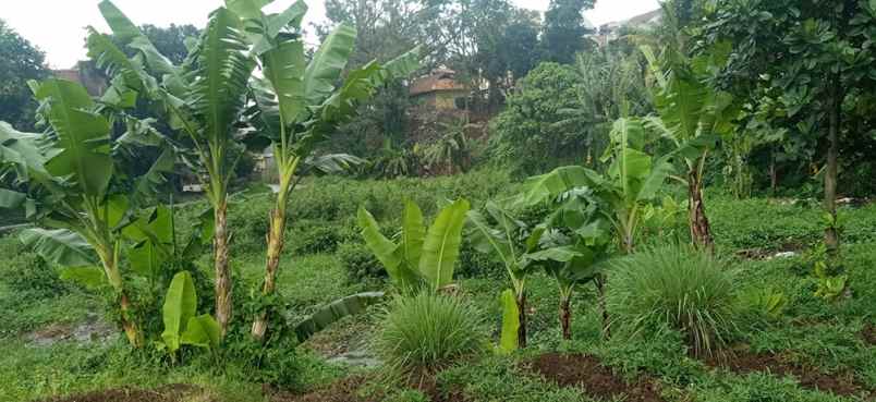 dijual tanah cihanjuang