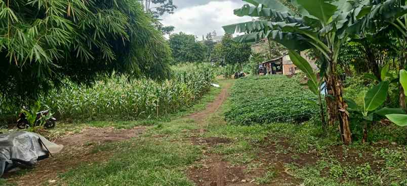 dijual tanah cihanjuang