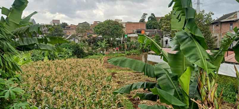 dijual tanah cihanjuang