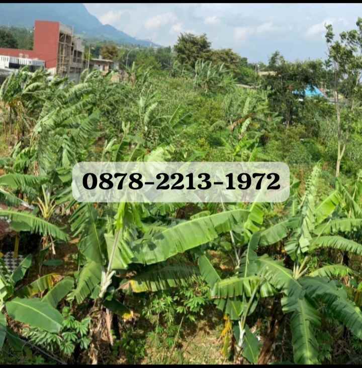 dijual tanah cileunyi bandung