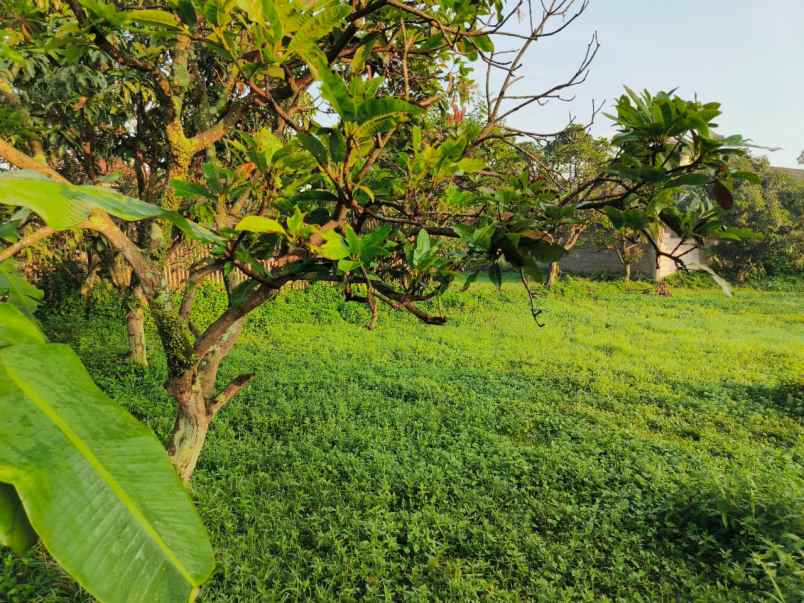 dijual tanah ciparay bandung jawa barat