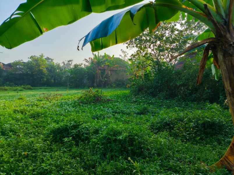 dijual tanah ciparay bandung jawa barat