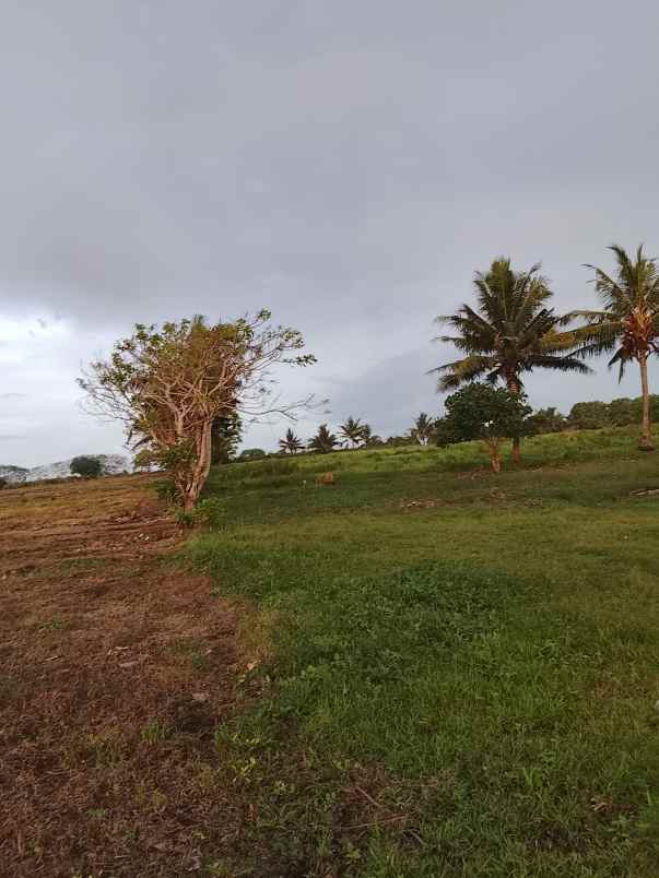 dijual tanah dekat pantai dan kampung