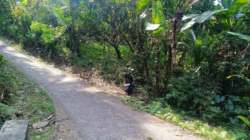dijual tanah desa angkah selemadeg