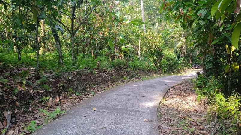 dijual tanah desa angkah selemadeg