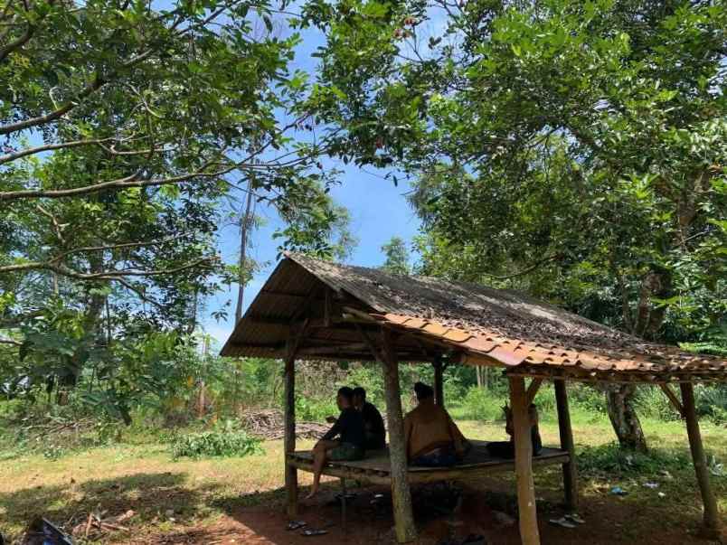 dijual tanah desa cijantung