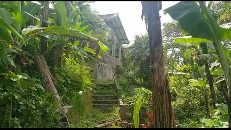 dijual tanah desa kutajaya cicurug sukabumi