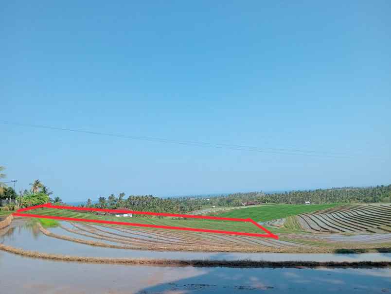 dijual tanah desa lalanglinggah