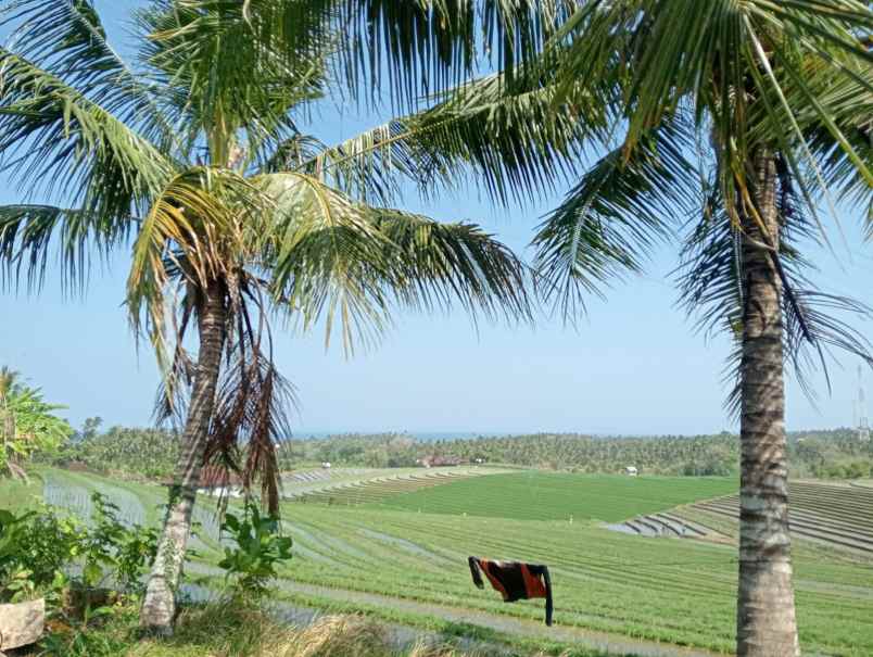 dijual tanah desa lalanglinggah