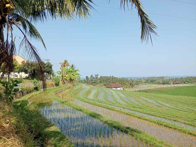 dijual tanah desa lalanglinggah