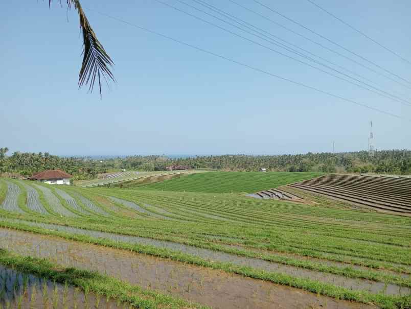 dijual tanah desa lalanglinggah