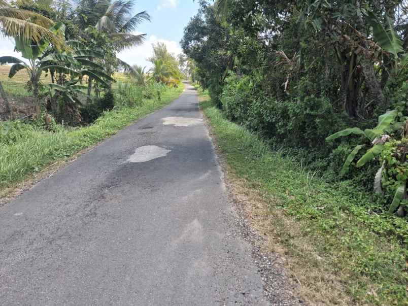 dijual tanah desa lumbung selemadeg
