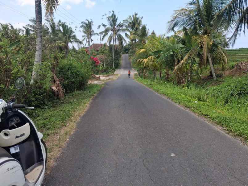 dijual tanah desa lumbung selemadeg