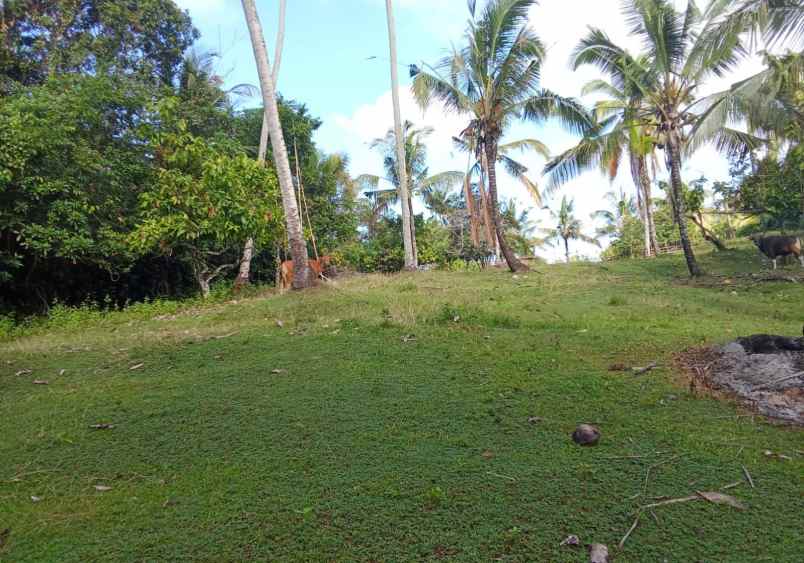 dijual tanah desa lumbung selemadeg
