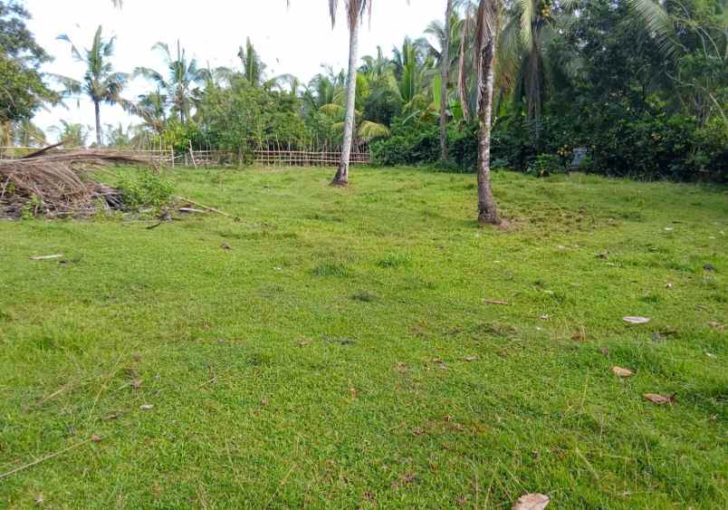 dijual tanah desa lumbung selemadeg