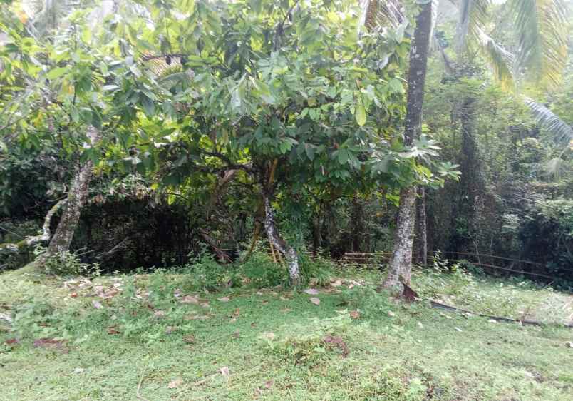 dijual tanah desa lumbung selemadeg