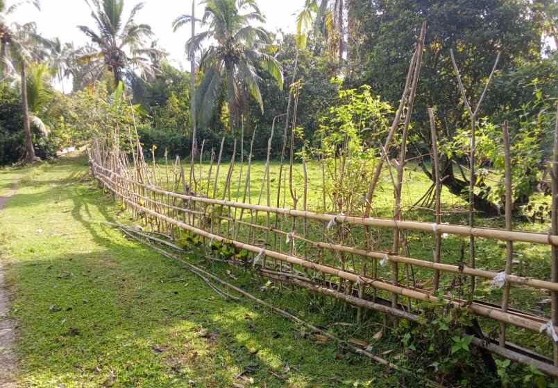 dijual tanah desa lumbung selemadeg
