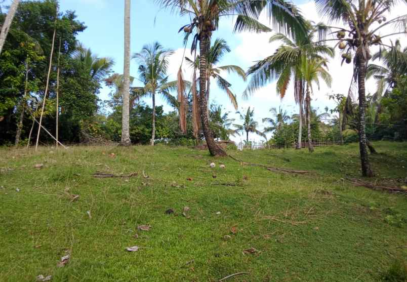 dijual tanah desa lumbung selemadeg