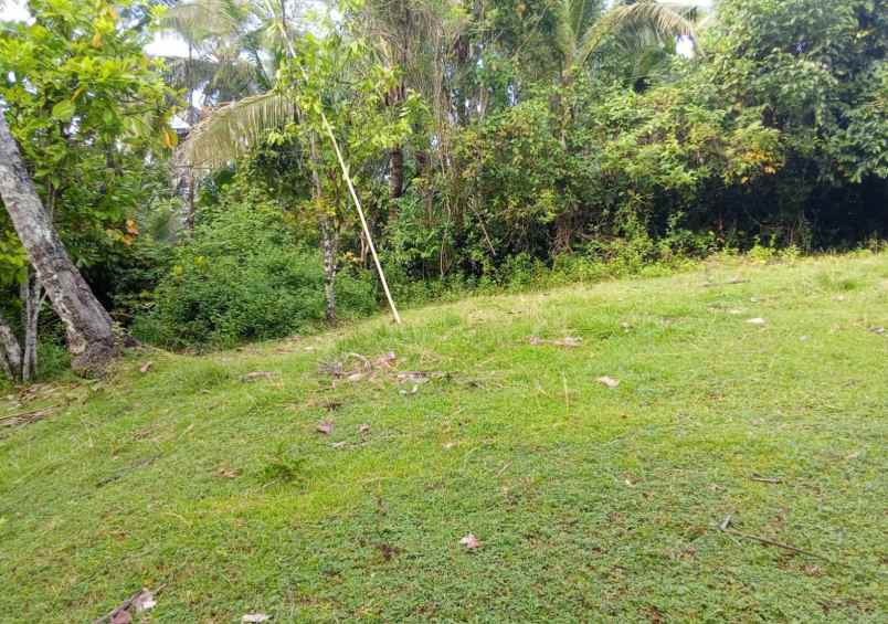 dijual tanah desa lumbung selemadeg