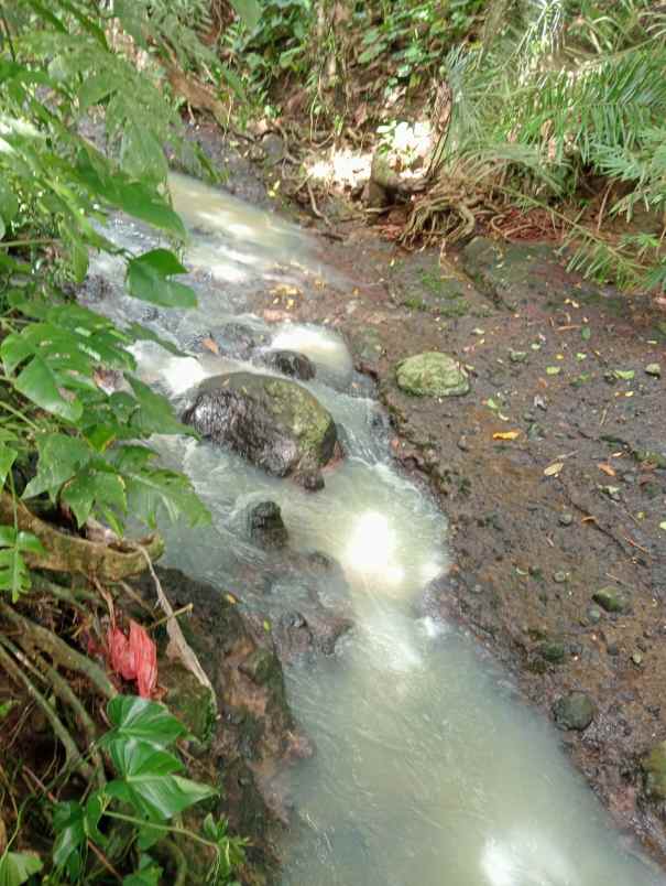 dijual tanah desa lumbung selemadeg