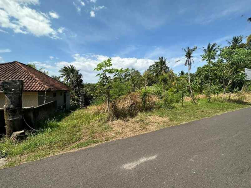 dijual tanah desa mendoyo dauh tukad