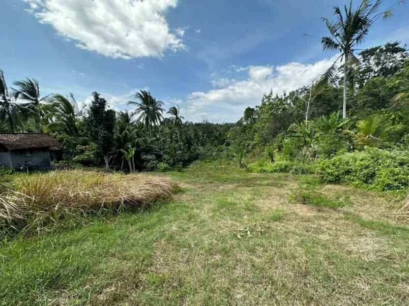 dijual tanah desa mendoyo dauh tukad