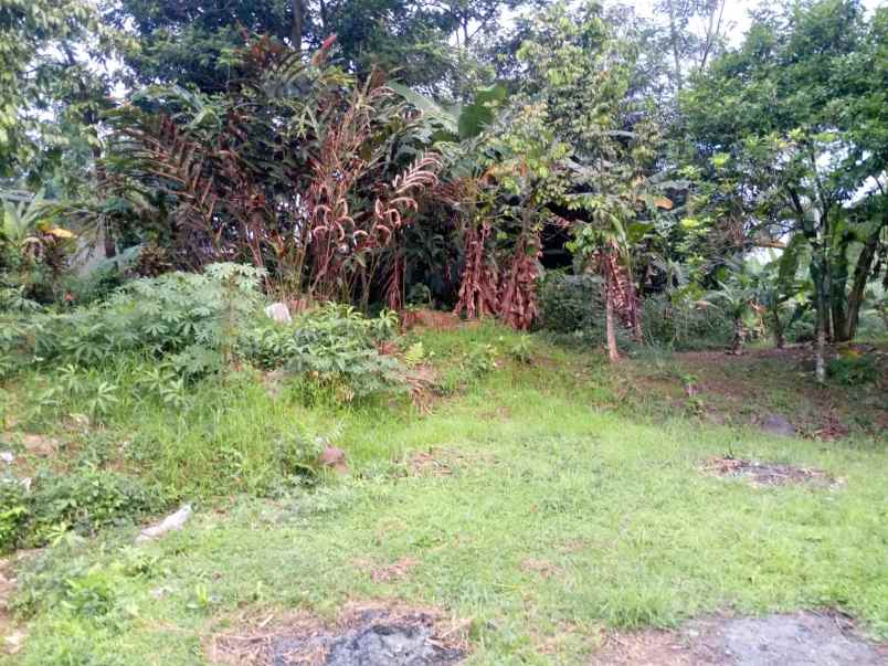 dijual tanah desa nagrak sukaraja