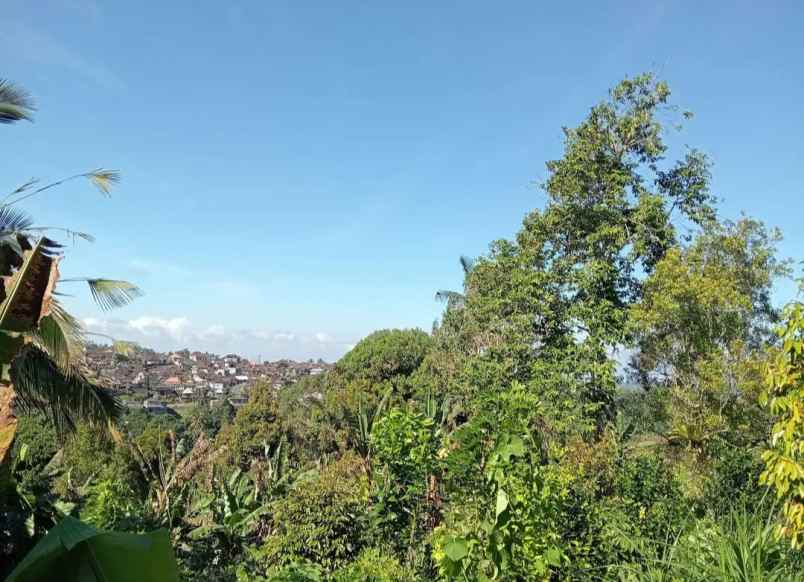 dijual tanah desa sanda kec pupuan kab