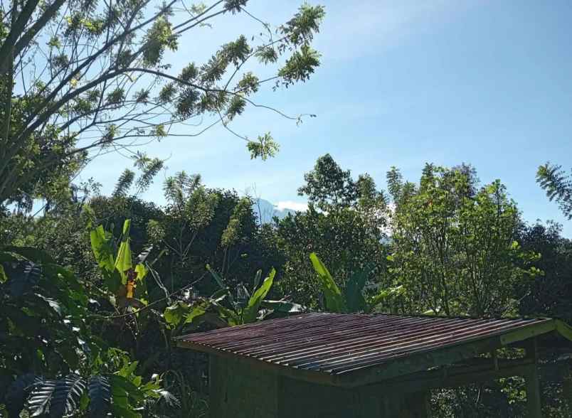 dijual tanah desa sanda kec pupuan kab