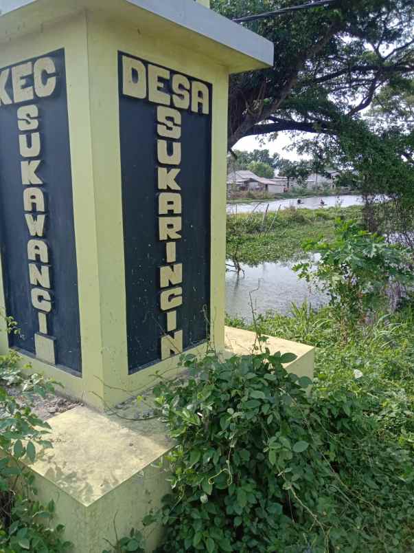 dijual tanah desa sukaringin
