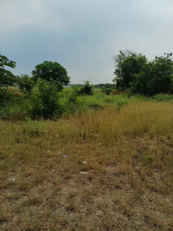 dijual tanah desa sukaringin